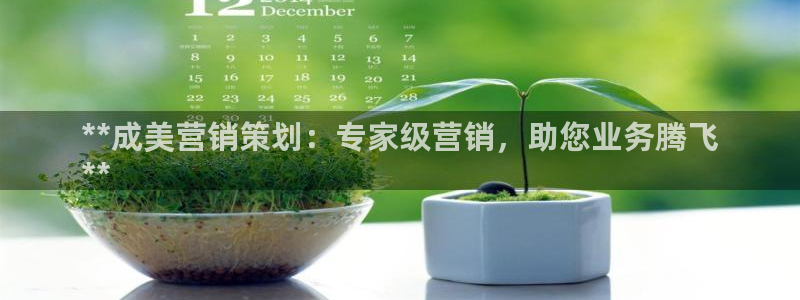 必赢565net官网