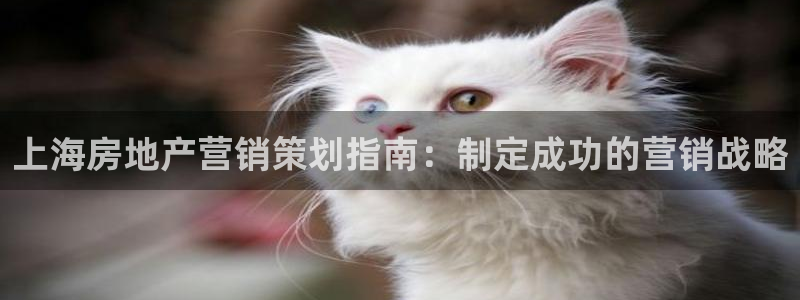 必赢手机版
