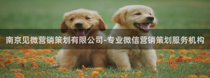必赢国际437网页版