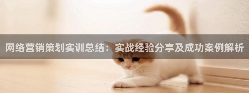 必赢网站网址是多少