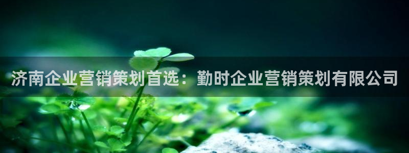 必赢app是干什么的
