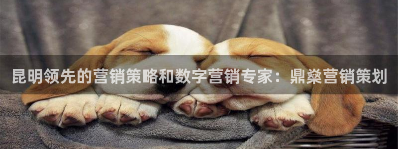 必赢官网app下载安装手机版苹果