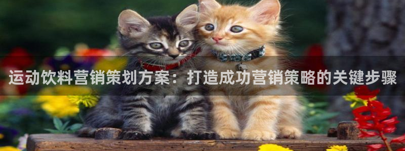 必赢科技北京有限公司