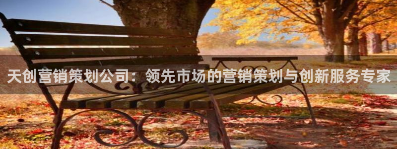 必赢国际是什么