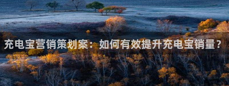 必赢网怎么打不开了