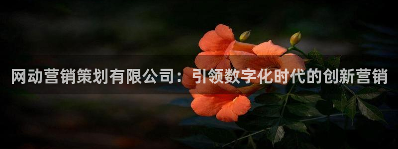 必赢下载