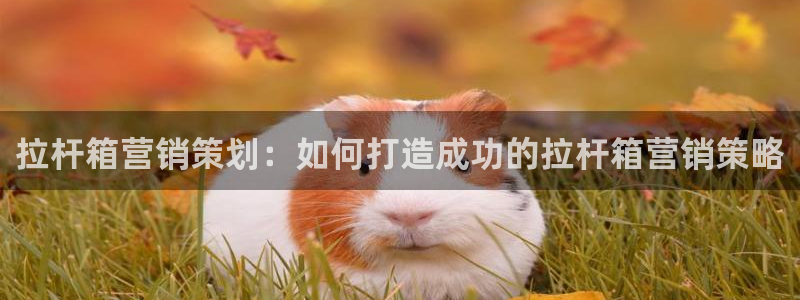 必赢集团菲律宾