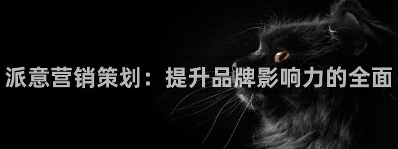 必赢766