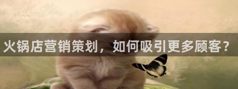 必赢网站是哪一个