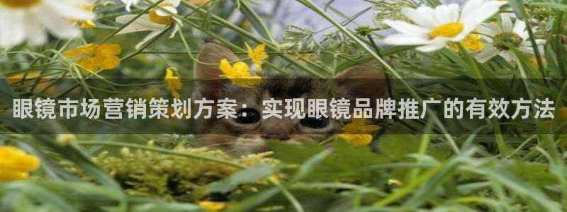必赢国际游戏技巧