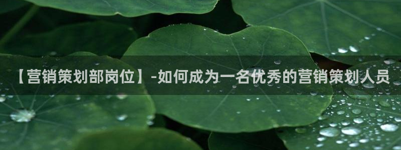 必赢官网app下载安装手机版最新版