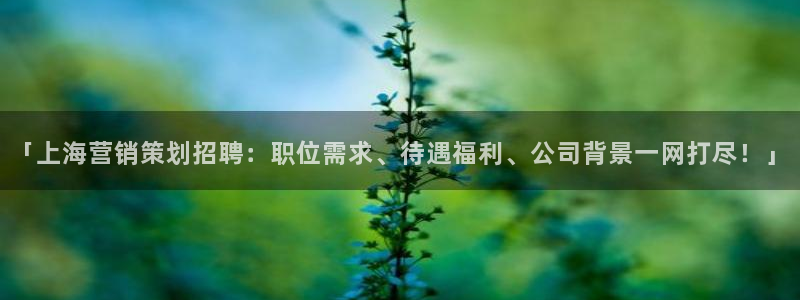 必赢网怎么打不开了