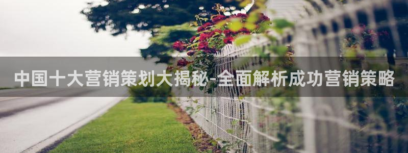 必赢3003am