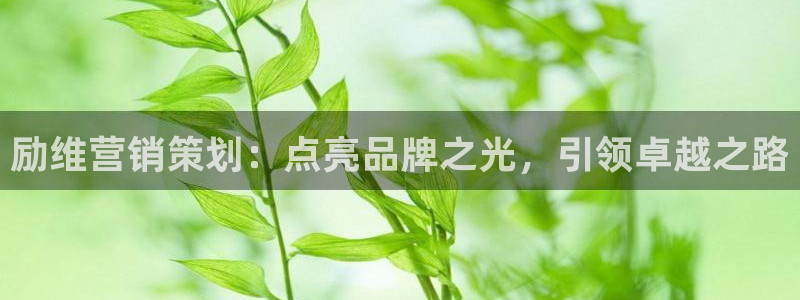 必赢这个平台怎么样
