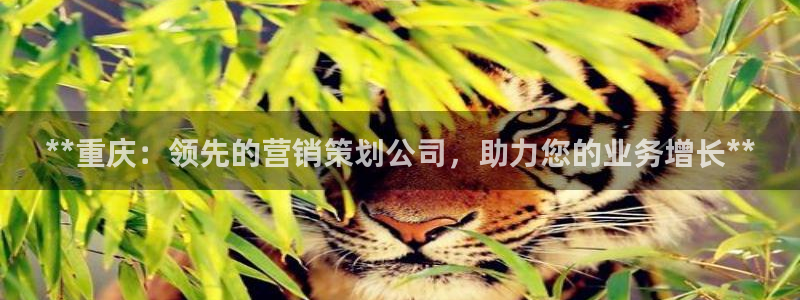 必赢亚赢网站官网下载手机版安装