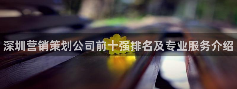 必赢棋脾9655：深圳营销策划