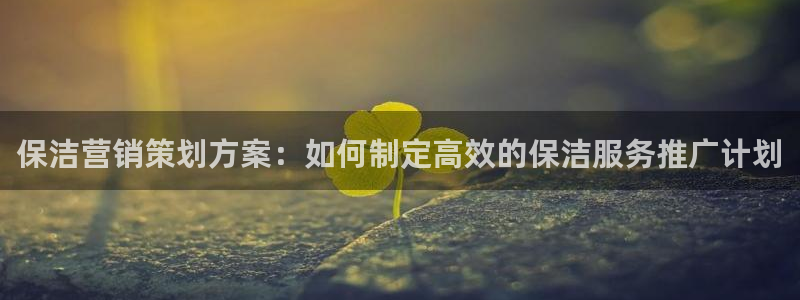 必赢国际的网站多少：保洁营销策