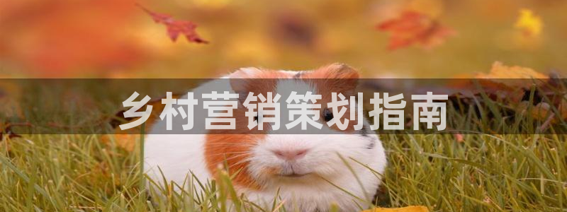 必赢官网app下载安装最新版苹果