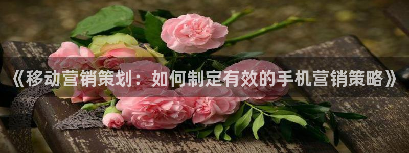 必赢游戏官网