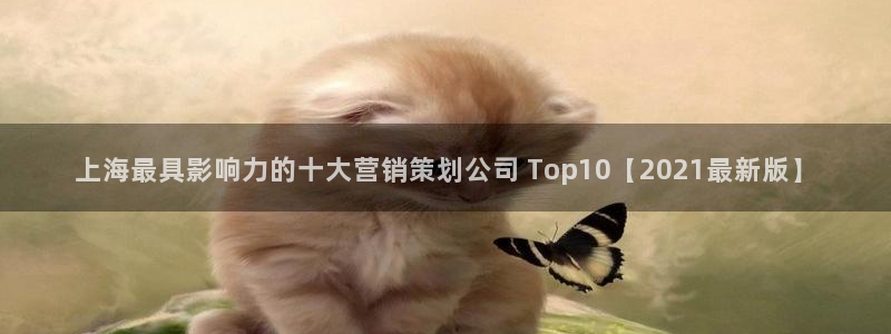 必赢app安卓版下载