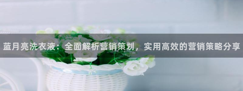 9965必赢棋官方网站怎么样