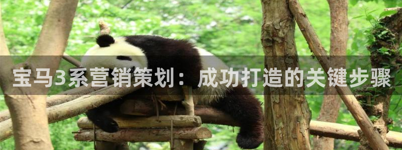 必赢最新