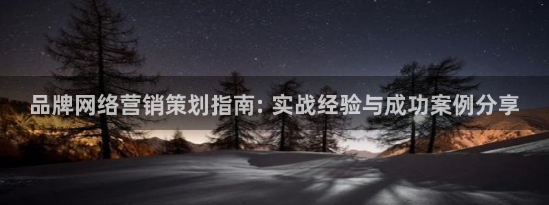 必赢平台怎么样