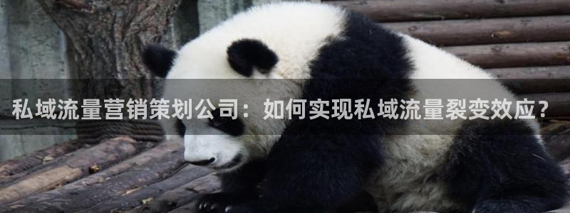 必赢官网入口下载安装