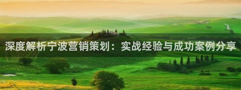 必赢官网：深度解析宁波营销策划