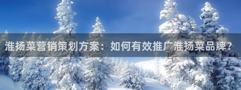 必赢客官方：淮扬菜营销策划方案