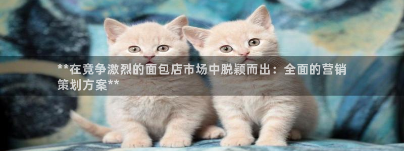 必赢官网app下载安装最新版本